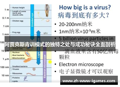 阿贾克斯青训模式的独特之处与成功秘诀全面剖析